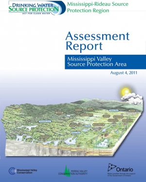 Assessment Report