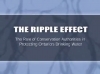 The Ripple Effect