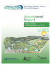 Assessment Report